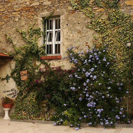 Al Vecchio Convento Mare E Monti Bed & Breakfast Ортоново Екстериор снимка
